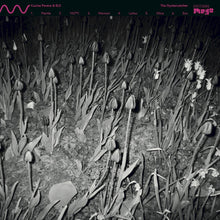 Load image into Gallery viewer, Cucina Povera & Els - The Oystercatcher - ElMuelle1931