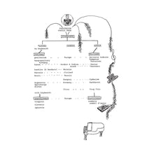 Load image into Gallery viewer, Dorothy Carter - Waillee Waillee - ElMuelle1931