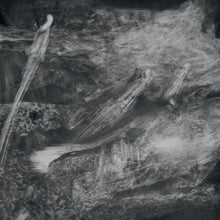 Load image into Gallery viewer, Elodie - Enteha - ElMuelle1931