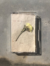 Load image into Gallery viewer, Els Vandeweyer - Trash - ElMuelle1931