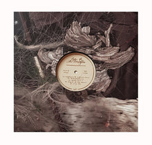 Load image into Gallery viewer, Eyes Of The Amaryllis - Sift - ElMuelle1931