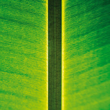 Load image into Gallery viewer, Fahmi Mursyid - One Instrument Sessions 03 - ElMuelle1931