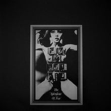 Load image into Gallery viewer, Felt - The Splendour Of Fear - ElMuelle1931