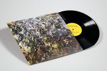 Load image into Gallery viewer, Genetisis - Genetisis - ElMuelle1931