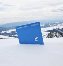 Load image into Gallery viewer, Grauzone – Eisbær - ElMuelle1931