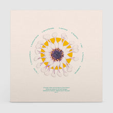 Load image into Gallery viewer, Green - House Music for Living Spaces - ElMuelle1931