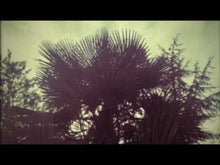 Load and play video in Gallery viewer, The NJE With Adrian Sherwood - Afloat In Dub