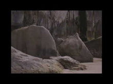 Load and play video in Gallery viewer, Greymouth - Cut A Crooked Track