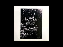 Load and play video in Gallery viewer, 番長 Taste - 番長 Taste