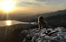 Load image into Gallery viewer, Hugjiltu 胡格吉乐图 - Cycle 循环 - ElMuelle1931