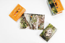 Load image into Gallery viewer, Infant - Face First In The Entangled - ElMuelle1931