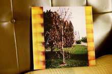 Load image into Gallery viewer, Kraus - A Golden Brain - ElMuelle1931