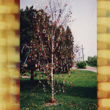 Load image into Gallery viewer, Kraus - A Golden Brain - ElMuelle1931