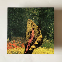 Load image into Gallery viewer, Läuten Der Seele - Läuten Der Seele - ElMuelle1931