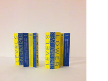 Load image into Gallery viewer, Levels - Lower Levels - ElMuelle1931