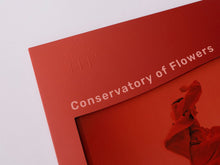 Load image into Gallery viewer, Maria Teriaeva - Conservatory Of Flowers - ElMuelle1931