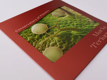 Load image into Gallery viewer, Maria Teriaeva - Conservatory Of Flowers - ElMuelle1931