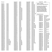 Load image into Gallery viewer, Mazen Kerbaj Sampler / Sampled Mazen Kerbaj Trumpet Solo Vol. 3 - ElMuelle1931