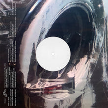 Load image into Gallery viewer, Moin - Moot! - ElMuelle1931