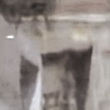 Load image into Gallery viewer, Nein Rodere - For Unprepared Voice and Guitar - ElMuelle1931