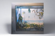 Load image into Gallery viewer, Nikolaienko - Nostalgia Por Mesozoica - ElMuelle1931