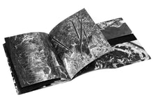 Load image into Gallery viewer, O Desengano - Julián Barón - ElMuelle1931