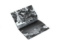 Load image into Gallery viewer, O Desengano - Julián Barón - ElMuelle1931