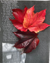 Load image into Gallery viewer, Omen - Wild Sleep - ElMuelle1931