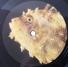 Load image into Gallery viewer, Orphan Fairytale - My Favorite Fairytale - ElMuelle1931