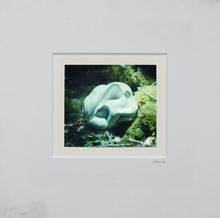 Load image into Gallery viewer, Quade - Nacre - ElMuelle1931