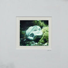 Load image into Gallery viewer, Quade - Nacre - ElMuelle1931