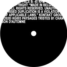 Load image into Gallery viewer, Rachel Sassi, Victor De Roo - Paysages Tristes - ElMuelle1931