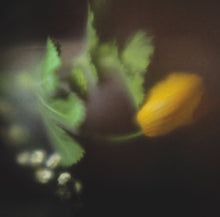 Load image into Gallery viewer, Razen - Blue Rot - ElMuelle1931