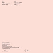 Load image into Gallery viewer, Sam Mallet - Wetlands - ElMuelle1931