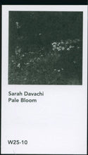 Load image into Gallery viewer, Sarah Davachi - Pale Bloom - ElMuelle1931