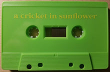 Load image into Gallery viewer, Shun Nakaseko - Secret Of Sound - ElMuelle1931