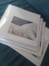 Load image into Gallery viewer, Soccer - Committee ♥/Lamb - ElMuelle1931