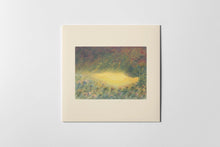 Load image into Gallery viewer, Sofie Birch & Antonina Nowacka - Languoria - ElMuelle1931