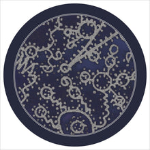 Load image into Gallery viewer, Svitlana Nianio - Lisova Kolekciya - ElMuelle1931