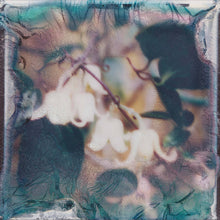 Load image into Gallery viewer, Svitlana Nianio & Tom James Scott - Eye of the Sea - ElMuelle1931