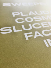 Load image into Gallery viewer, Sweepsculp - S/T - ElMuelle1931