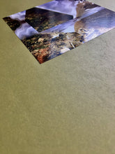 Load image into Gallery viewer, Sweepsculp - S/T - ElMuelle1931