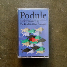 Load image into Gallery viewer, The Dead Goldfish Ensemble – Podule: a collection of very rare and unreleased tracks from 1985-1994 - ElMuelle1931