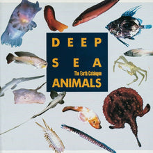 Load image into Gallery viewer, The Earth Catalogue - Deep Sea Animals - ElMuelle1931