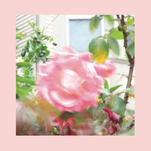 Load image into Gallery viewer, The Reds, Pinks & Purples – Summer At Land's End - ElMuelle1931