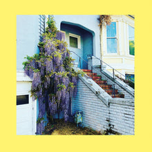 Load image into Gallery viewer, The Reds, Pinks & Purples - They Only Wanted Your Soul - ElMuelle1931