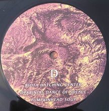 Load image into Gallery viewer, Timelash - A Morphology Of Wonders - ElMuelle1931