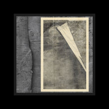 Load image into Gallery viewer, Trevor Mathison - From Signal to Decay: Volume 2 - ElMuelle1931