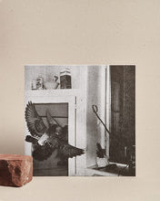 Load image into Gallery viewer, Ubaldo - Casa - ElMuelle1931