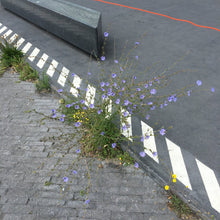 Load image into Gallery viewer, Upsammy - Bend - ElMuelle1931